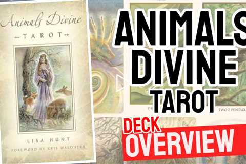 Animal Divine Tarot Review (All 78 Animal Divine Tarot  Cards Revealed!)