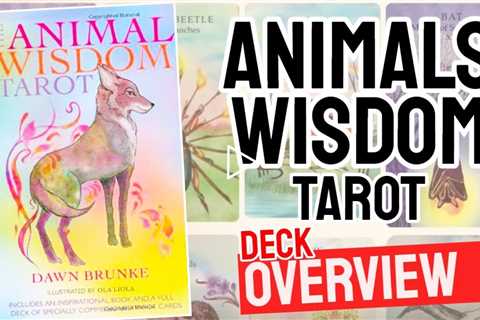 Animal Wisdom Tarot Review (All 78 Animal Wisdom Tarot Cards Revealed!)