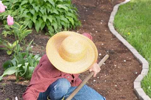 Dig It Gardening Question - You're a Vegetable