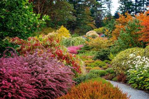 Autumn Garden Planner - Tips For Tidying The Garden