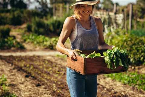 Basil Gardening - Can You Grow Basil Outside in Pots?