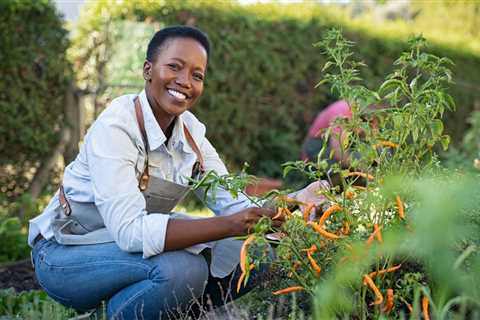 Soil Testing in North Carolina - How to Find the Best Soil Test Kit For Lawns and Gardens