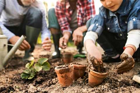 Vegetable Gardening - Using a Vegetable Crop Rotation Chart