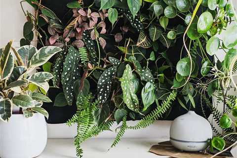 How to Build a DIY Indoor Wall Planter