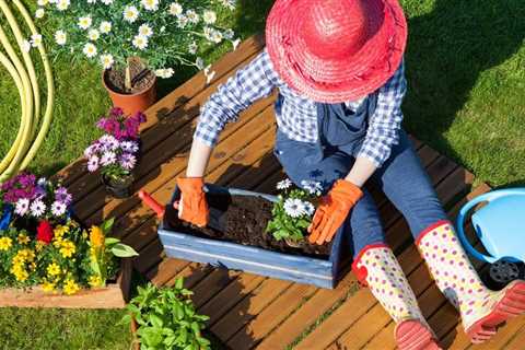 Vegetable Gardening Tips - Tips on Planting a Garden