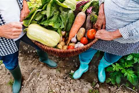 North Carolina Vegetable Gardening