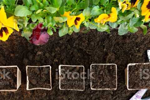 Early Spring Gardening Tips