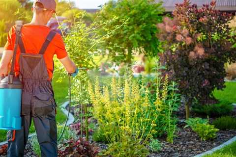 Growing Salad Greens - How to Choose the Best Fertilizer For Lettuce