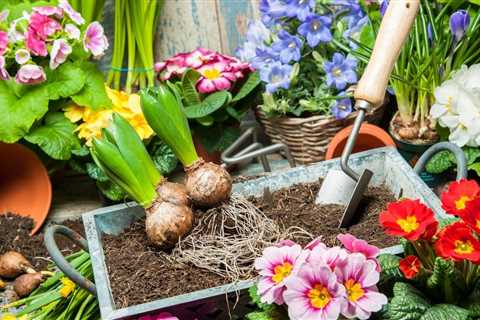 The Best Way to Grow Herbs Outdoors