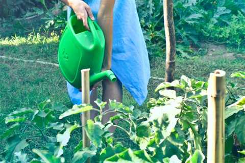 What Is Hydroponics Gardening and How Do Hydroponic Systems Work?