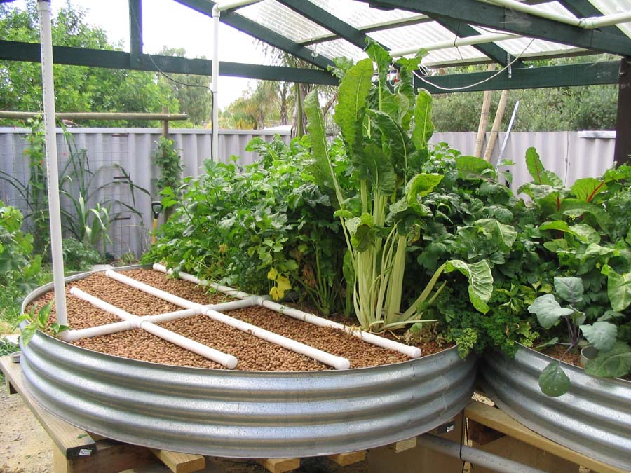 How to Build an Aquaponics Grow Bed