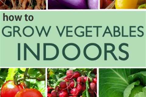 How to Indoor Vegetable Garden