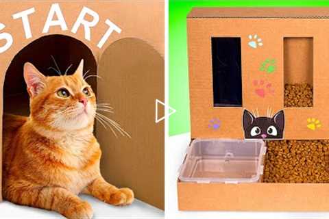 Fun DIY Cat Crafts || Giant Labyrinth And Food Dispenser For Cats