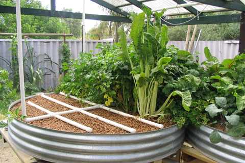 How to Build an Aquaponics Grow Bed