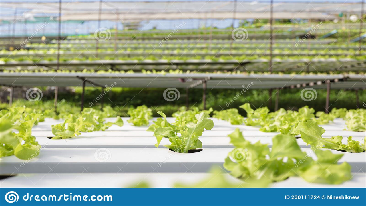 Where Is Hydroponics Used?