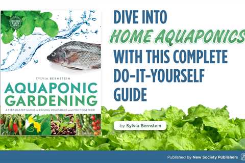 How Many Fish Per Gallon Can I Grow in Aquaponics?