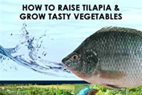 Grow Fish and Vegetables in Your Garage With Aquaponics