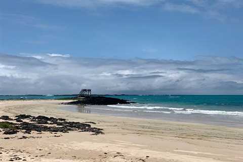 Explore & Fish Isabela Galapagos Islands