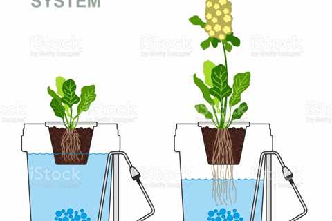 Benefits of Hydroponic Gardening