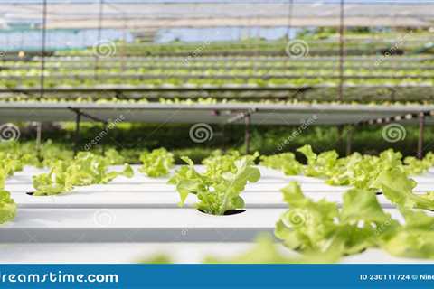 Where Is Hydroponics Used?