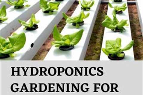 How to Start Hydroponic Gardening As a Beginner