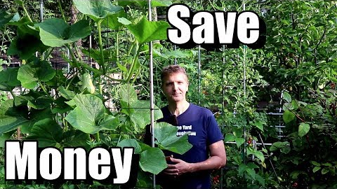 5 Money Saving Tips for Beginning Gardeners (Frugal Gardening)