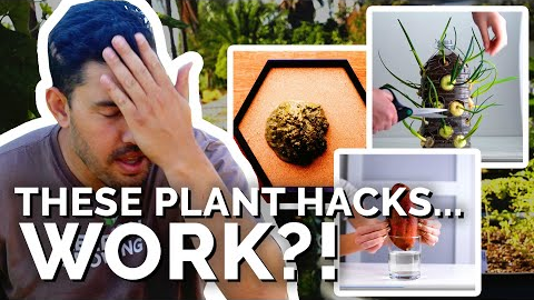Gardener Reacts to Plant Hacks That...Actually Work?!