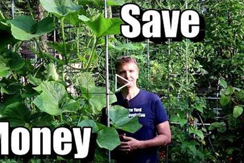 5 Money Saving Tips for Beginning Gardeners (Frugal Gardening)