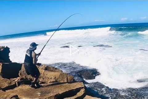 Big Copper Bream (Bronze Bream) of the Rocks. Fishing for Rock Fish! (Catch Clean Cook)