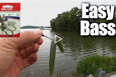 Easy Bass Fishing for ANYONE - Affordable Fishing for Beginners