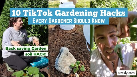 10 TikTok Gardening Hacks Every Gardener Should Know