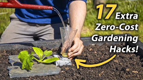 17 MORE Brilliant FREE Vegetable Gardening Hacks | Productive and Easy Garden Hacks