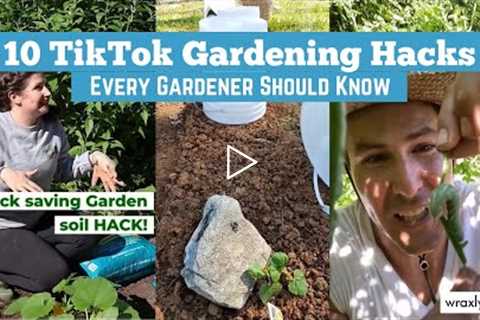 10 TikTok Gardening Hacks Every Gardener Should Know