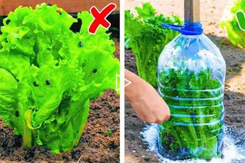 Simple Tips For Growing Plants And Vegetables || Useful Gardening Hacks by 5-Minute Crafts VS!