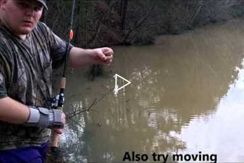 How to start fishing