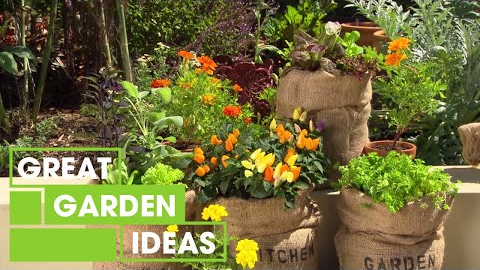 3 Tips For Growing Plants | Gardening | Great Home Ideas
