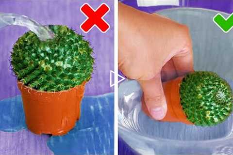 Plant Growing Hacks And Smart Gardening Tips