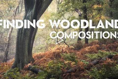 7 SIMPLE composition TIPS for WOODLAND PHOTOGRAPHY