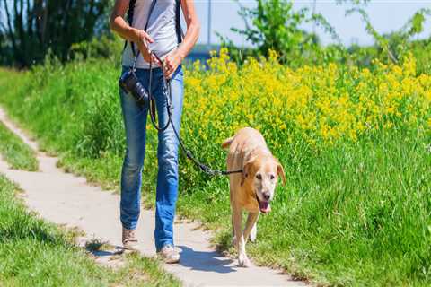 Can dogs walk in botanic gardens?