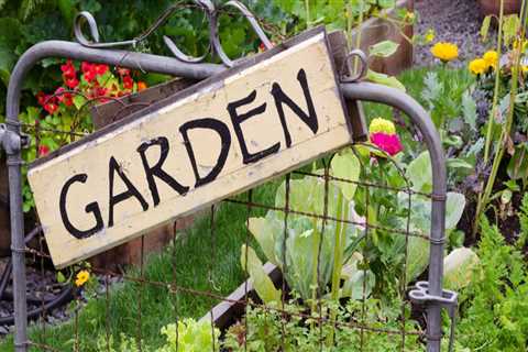 What is gardening in your own words?