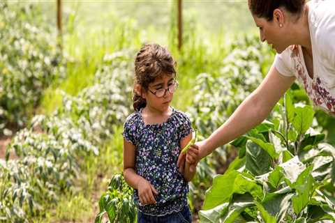 Home garden advantages?