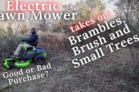 using an Electric Lawn Mower to mow down Brambles, Brush and Small trees?