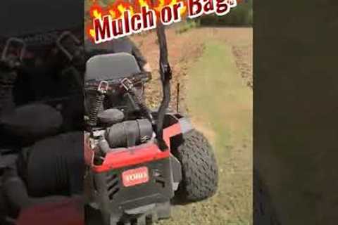 Lawn Mower Makes Leaf Cleanup FAST