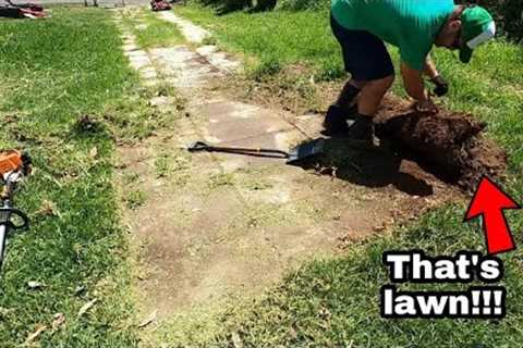 NEGLECTED driveway RESCUED from overgrown lawn!!!