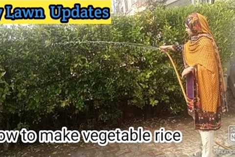 My lawn updates/How to make vegetable rice/Lawn cleaning/Daily Routine/Lifestyle with Shumaila