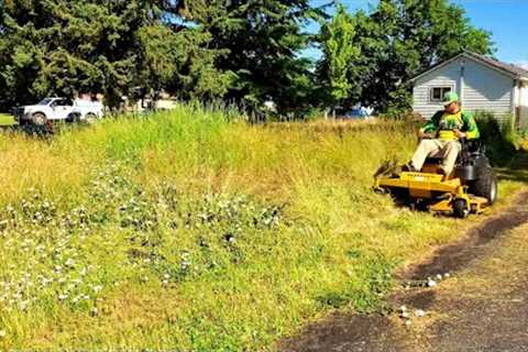 I Found This Overgrown ABANDONED House & Gave It A FREE Lawn Makeover