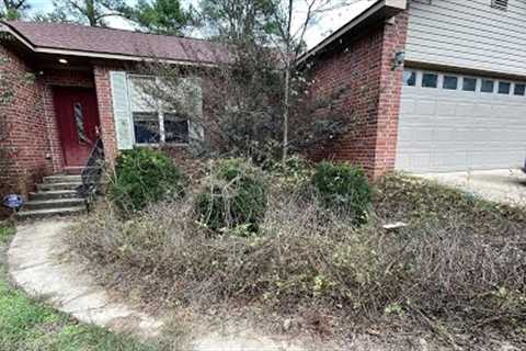 DISABLED woman EMOTIONAL about OVERGROWN Lawn Cleanup