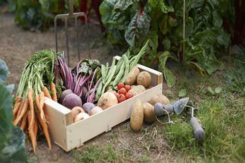 What month should you start a garden?