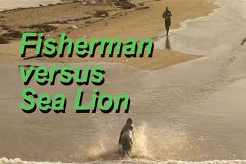 Fisherman v Sealion.... who will win?