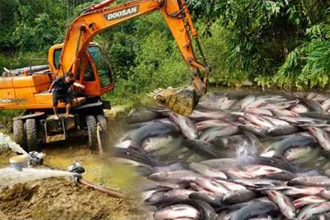 Fishing Technology: Use Large Excavator & Cannon Pump Sucks Water, Catch Many Fish In Lake